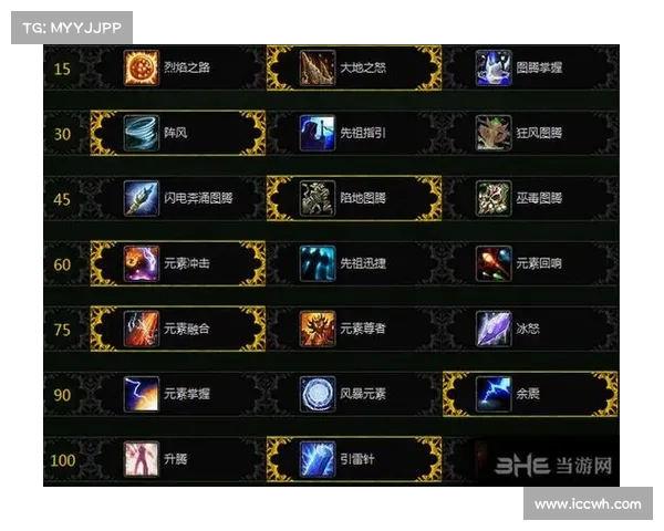 魔兽世界元素萨满：操作指南